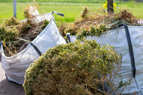 Best Trash Removal Near Me  in Rainsville, AL